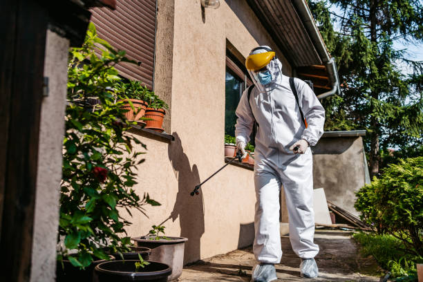 Best Rat Extermination Near Me  in Lorton, VA