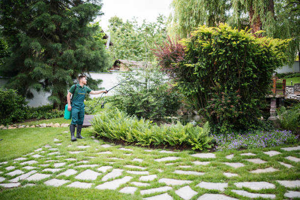 Best Affordable Pest Control Services  in Lorton, VA