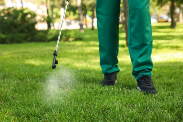 Best Emergency Pest Control  in Lorton, VA