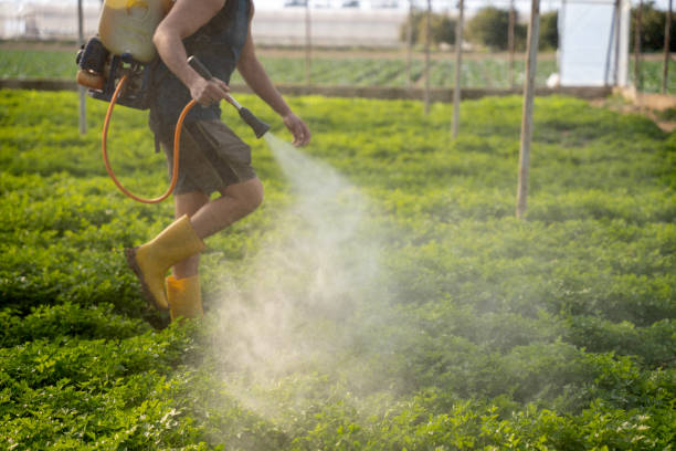 Pest Control for Restaurants in Lorton, VA