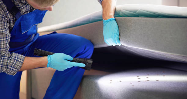 Best Best Pest Control Companies  in Lorton, VA