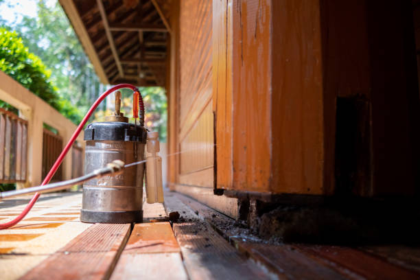Best Pest Control Treatment  in Lorton, VA