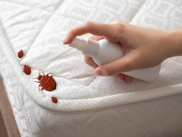 Best Commercial Pest Control Services  in Lorton, VA