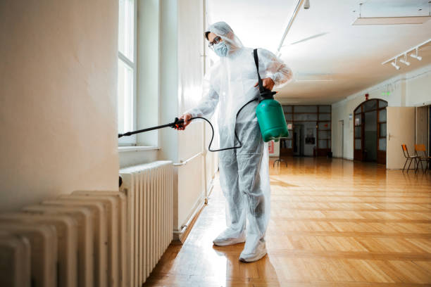 Wasp Removal Services in Lorton, VA