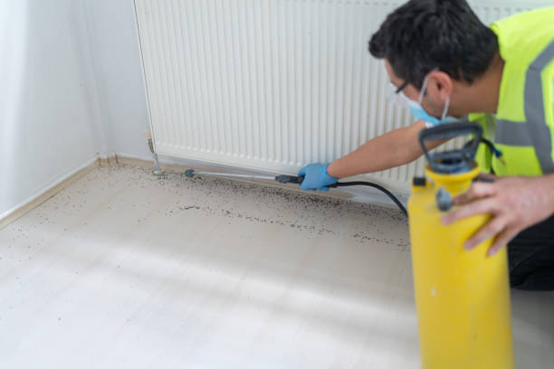 Best Residential Pest Control  in Lorton, VA